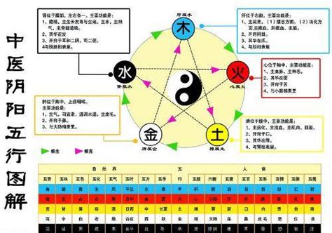 金生木 木生水|五行相生